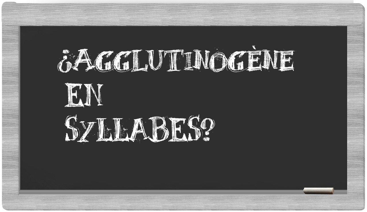 agglutinogène in syllables