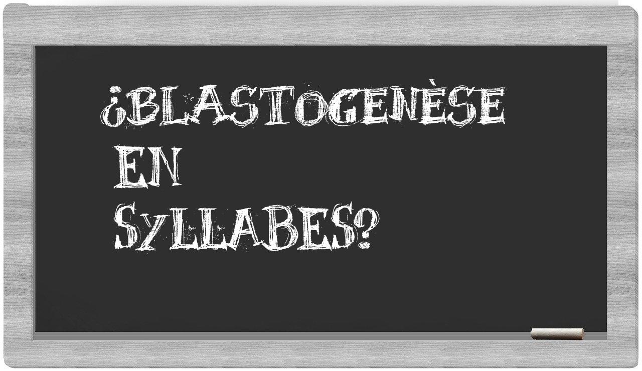 blastogenèse in syllables