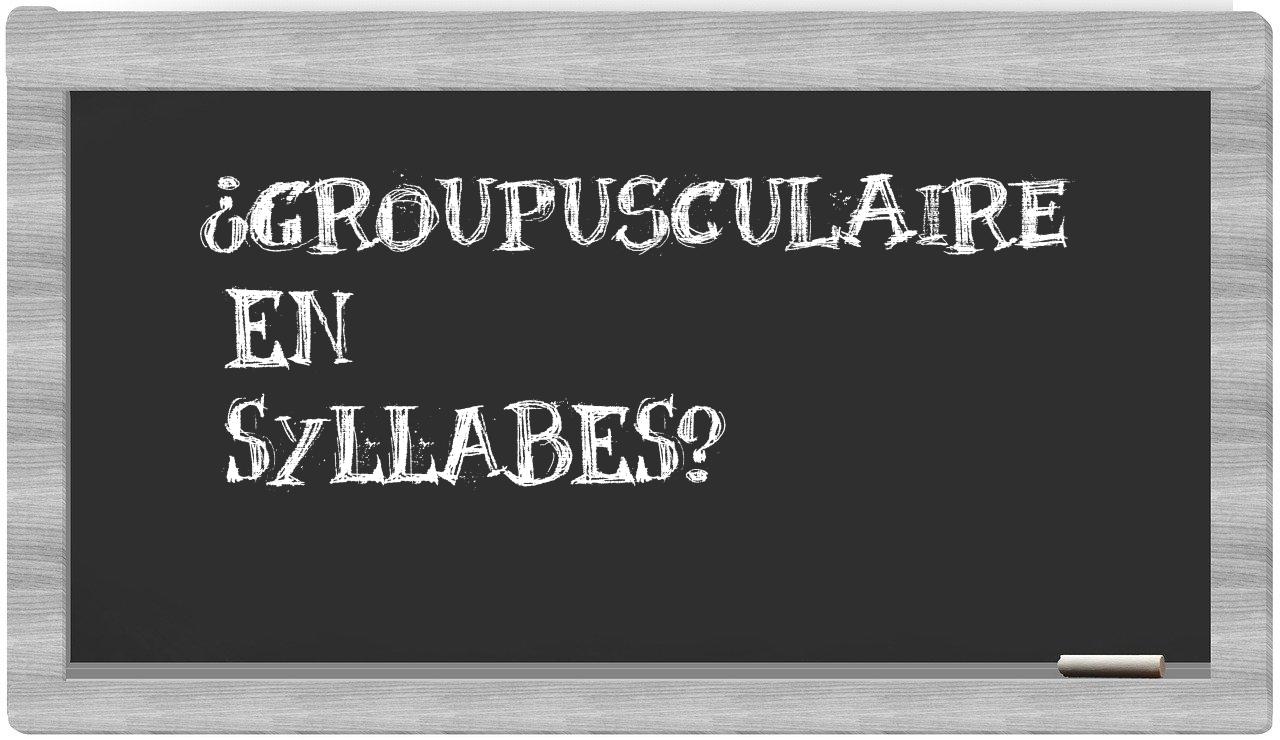 groupusculaire in syllables