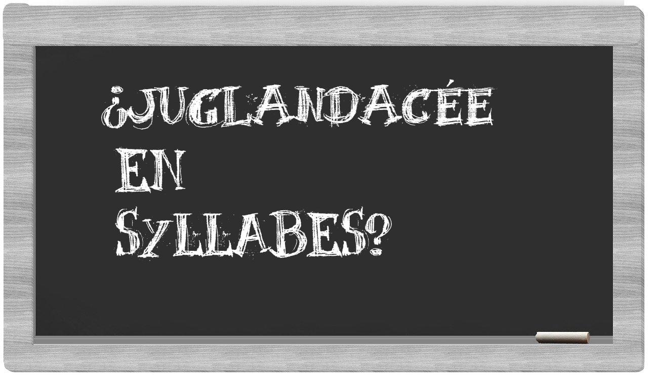 juglandacée in syllables