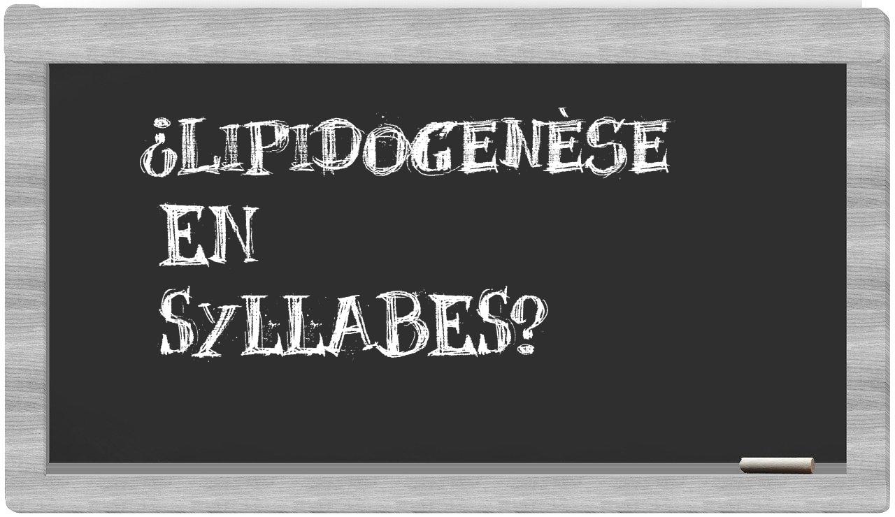lipidogenèse in syllables