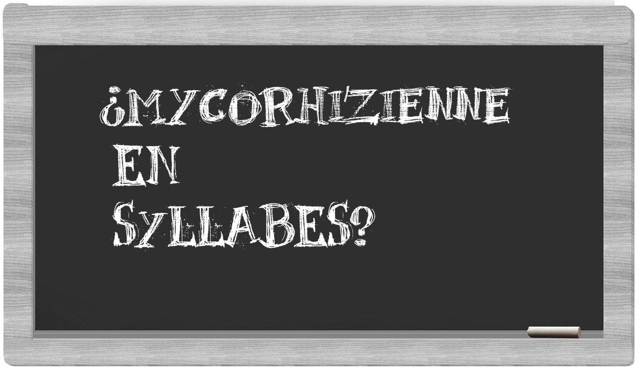 mycorhizienne in syllables