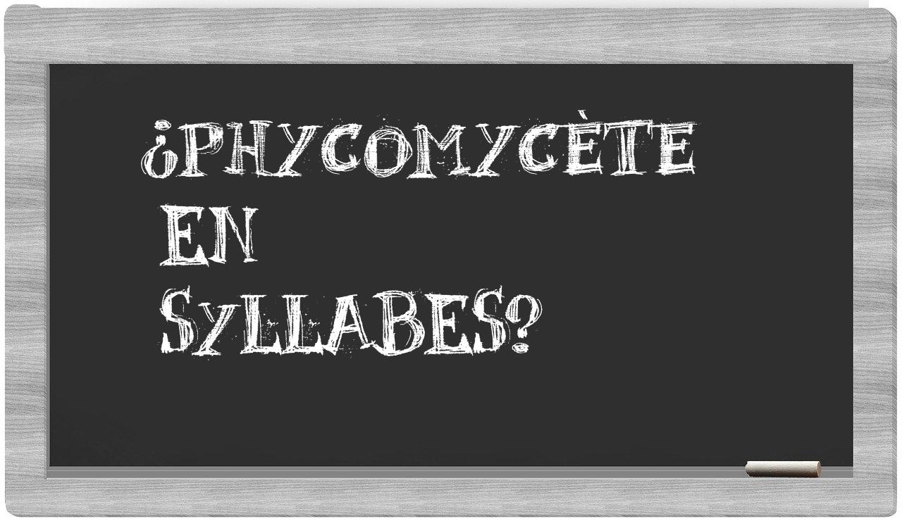 phycomycète in syllables