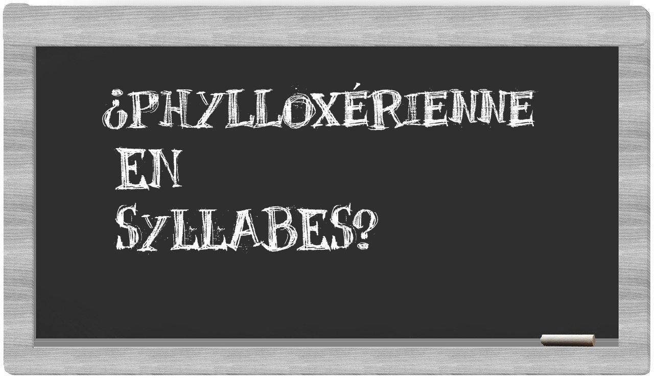 phylloxérienne in syllables