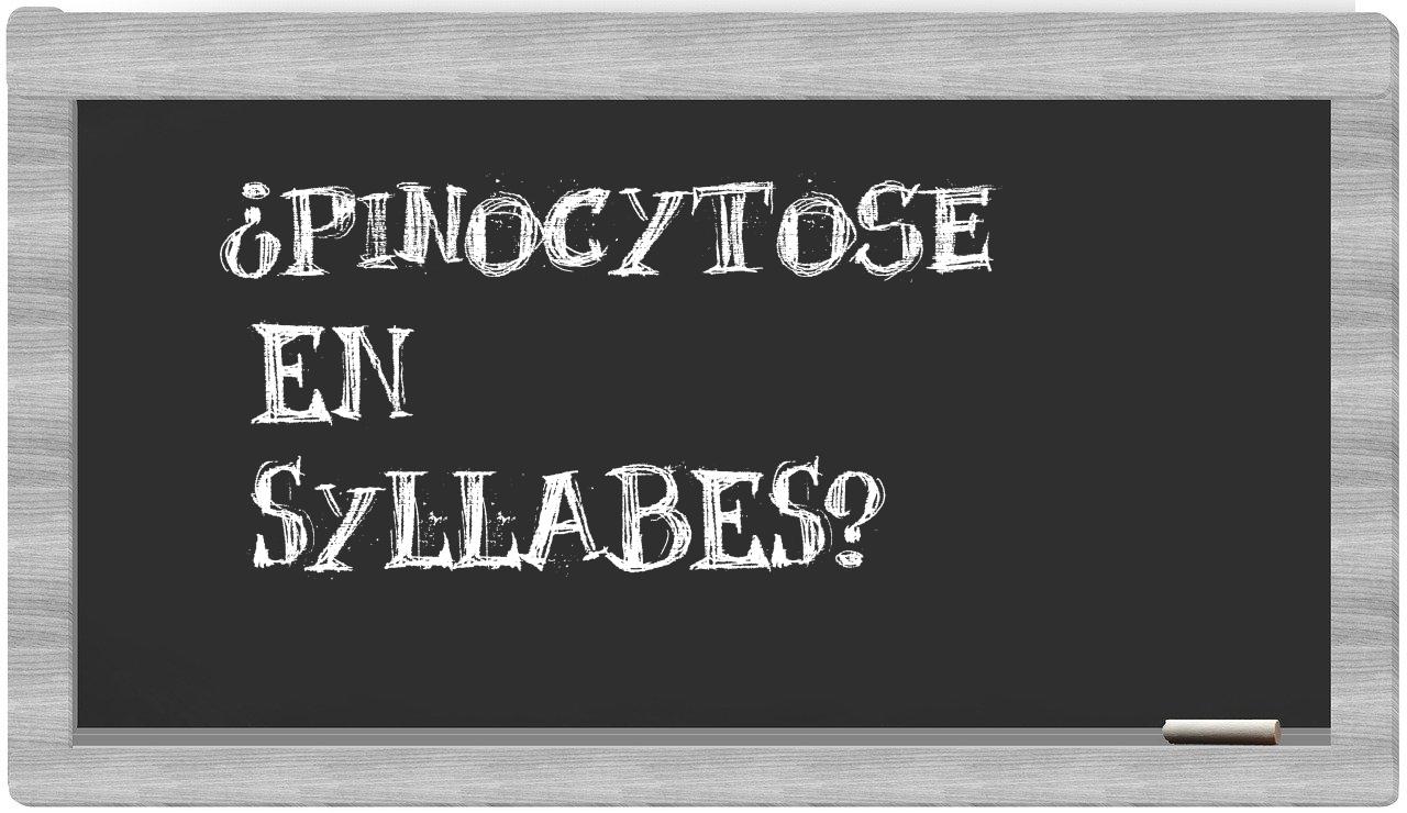 pinocytose in syllables