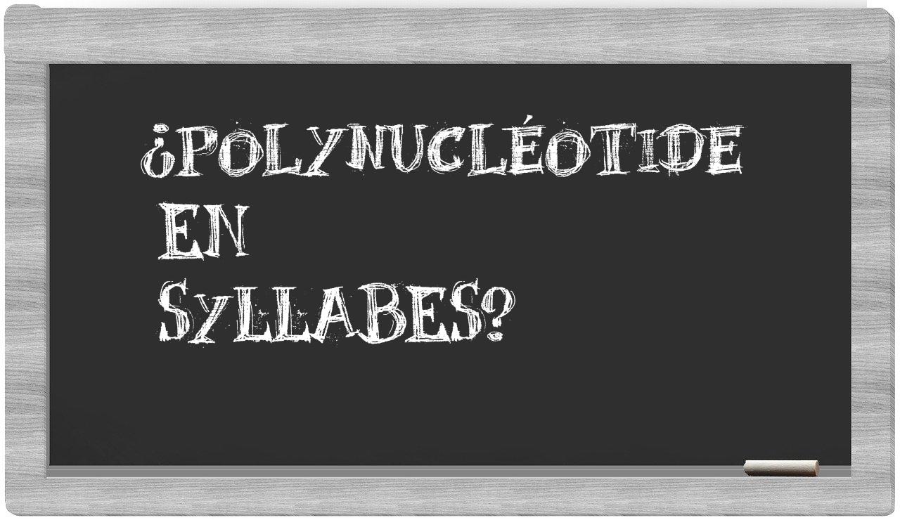polynucléotide in syllables